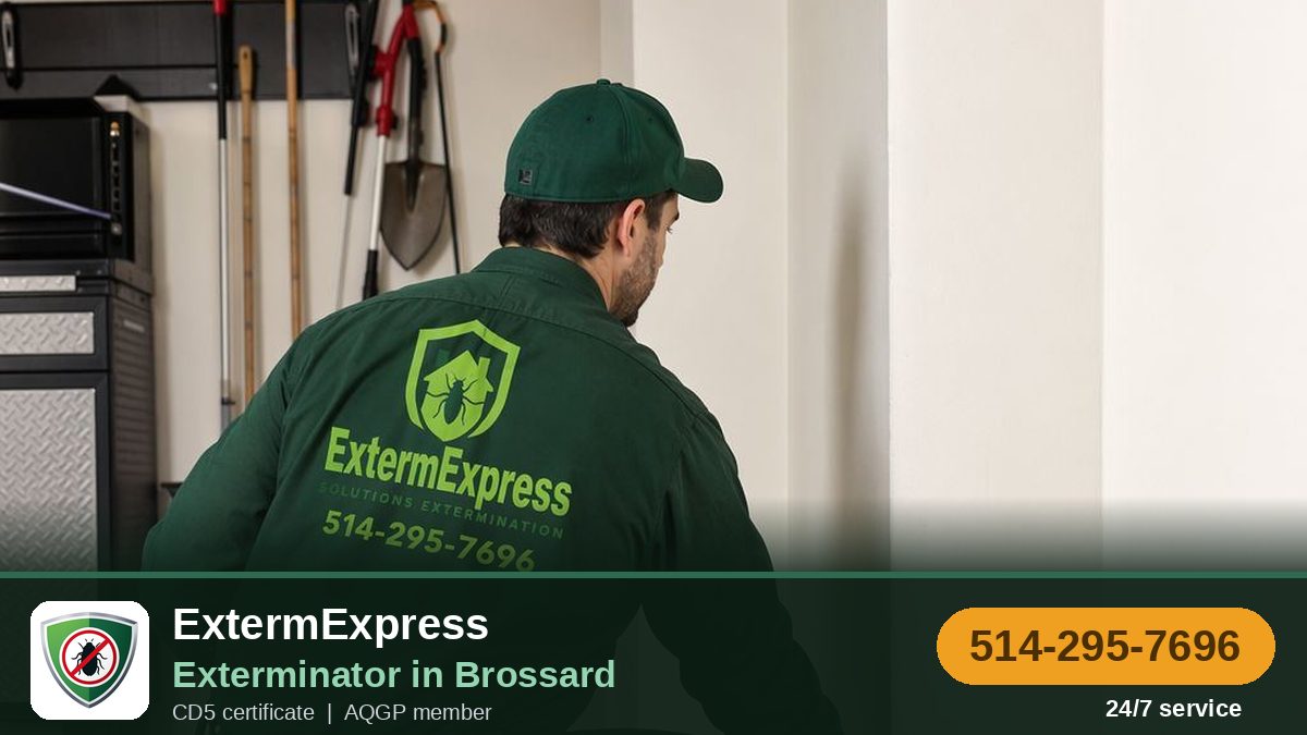 ExtermExpress, exterminator in Brossard