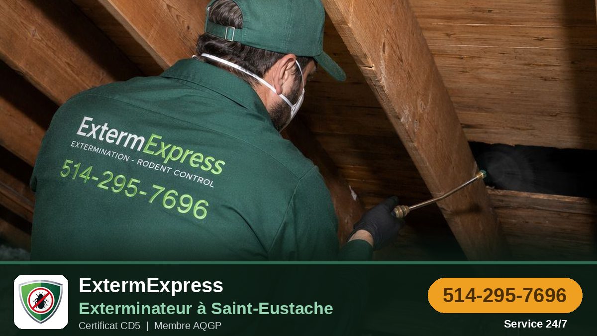 ExtermExpress, exterminateur à Saint-Eustache